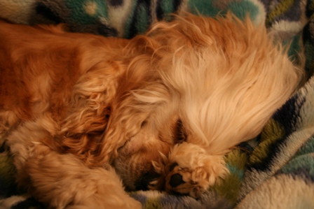 c0128303_1515285.jpg