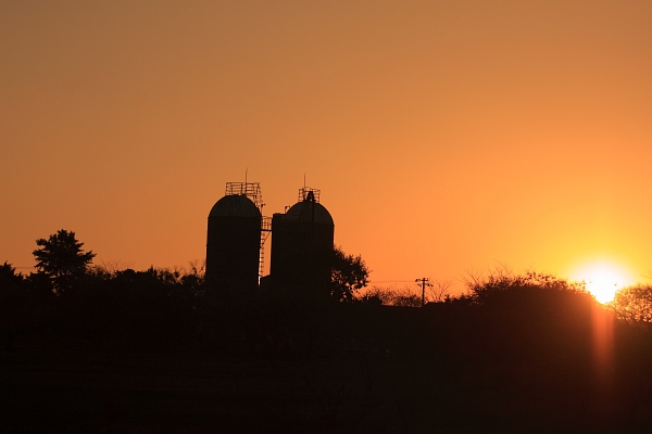 e0022303_161310100.jpg