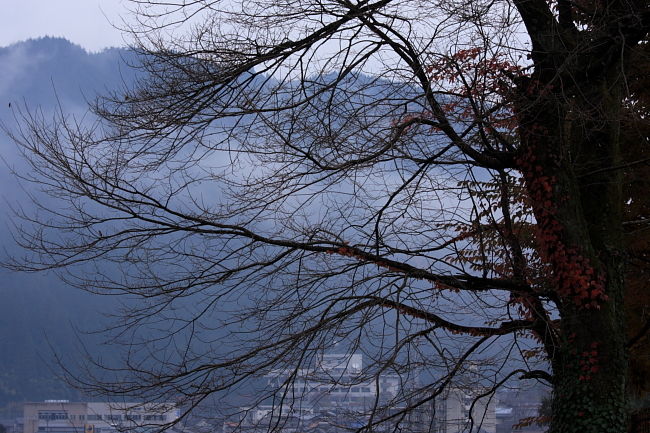 c0130306_2331113.jpg