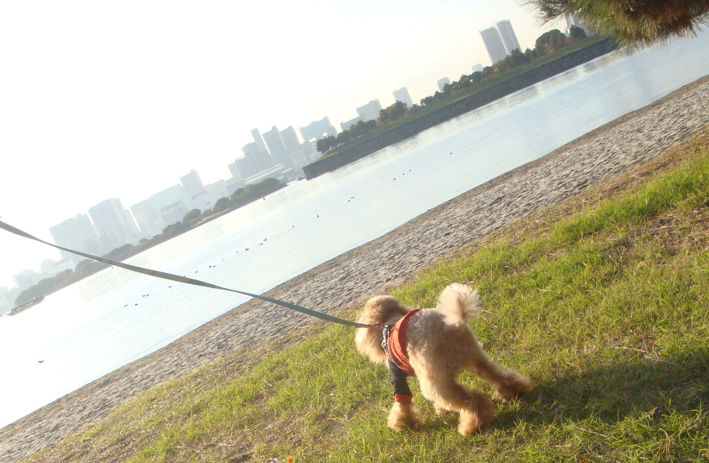 c0041207_9254349.jpg