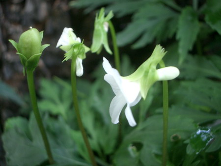 b0052108_0324099.jpg
