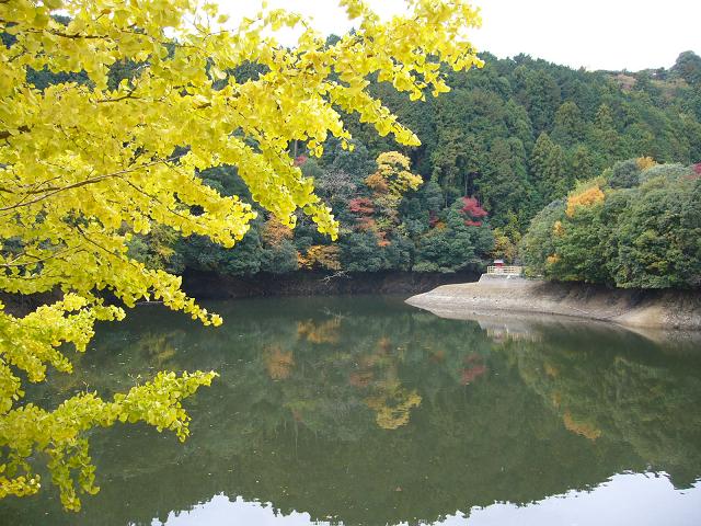b0112909_15113917.jpg