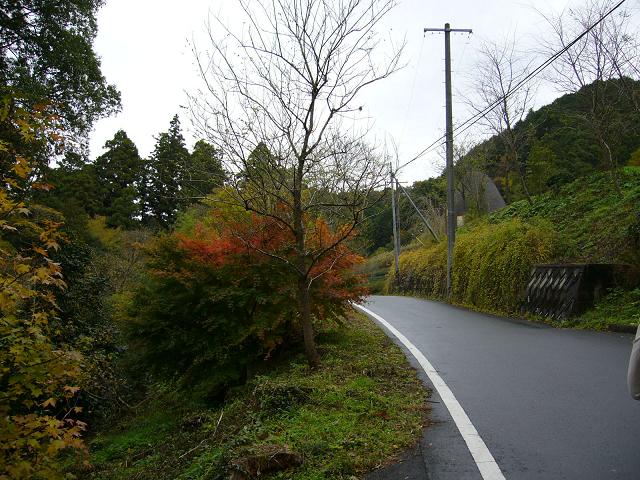 b0112909_15175766.jpg