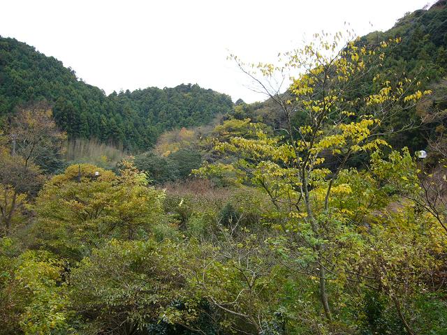 b0112909_15313447.jpg