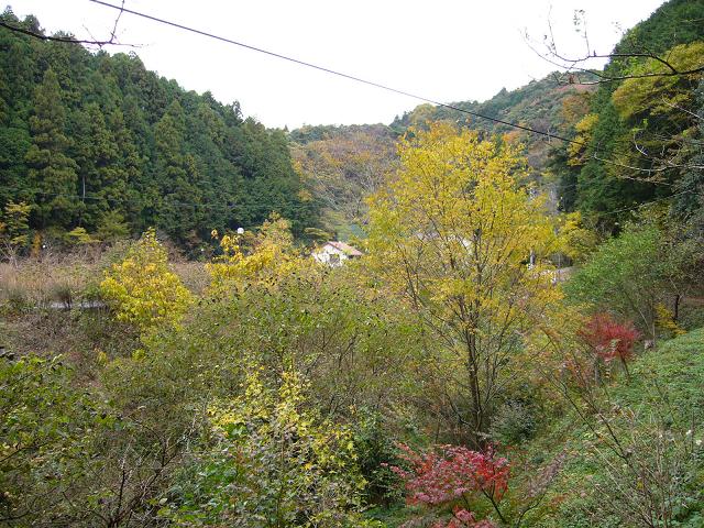 b0112909_1531860.jpg