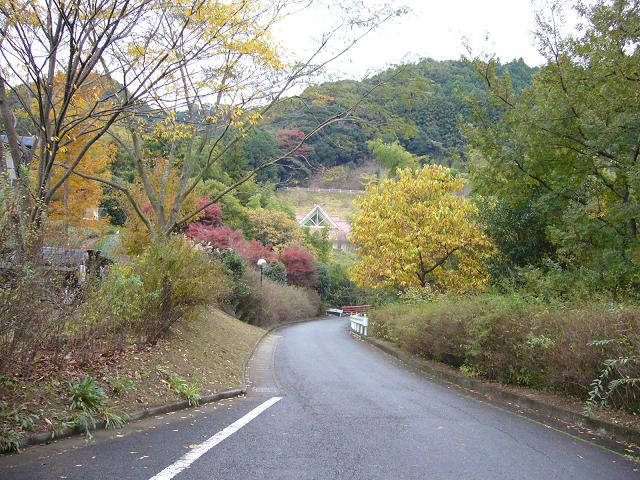 b0112909_15563365.jpg