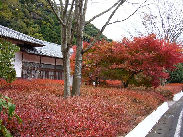 b0112909_1595933.jpg