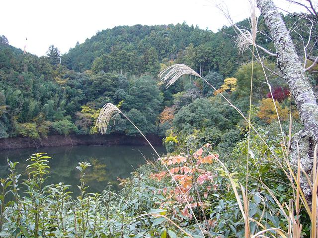 b0112909_16163330.jpg