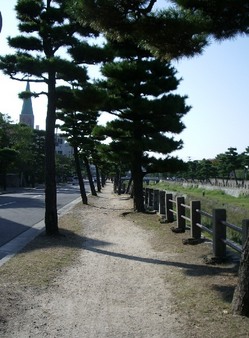 e0163212_20455099.jpg