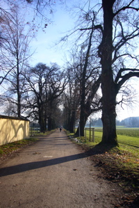c0167813_17204710.jpg
