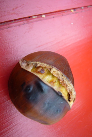 c0167813_17294573.jpg