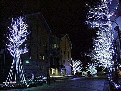 c0077615_23353363.jpg