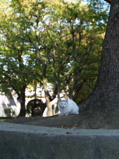 c0136217_1513158.jpg