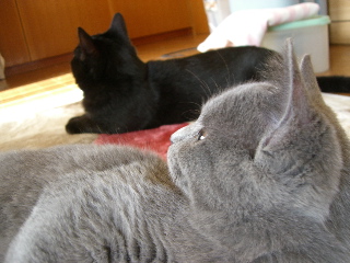 c0083618_2337994.jpg
