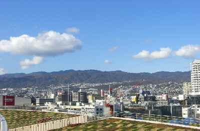 d0072318_8392716.jpg