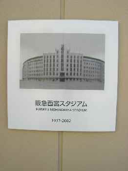 d0072318_843265.jpg