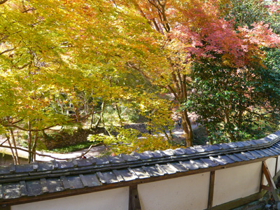 b0019820_2184822.jpg
