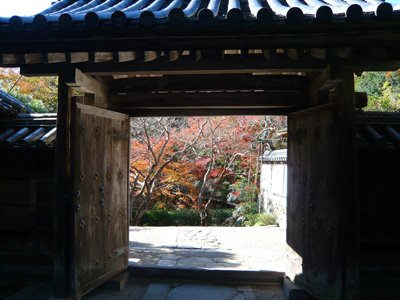 b0019820_219419.jpg