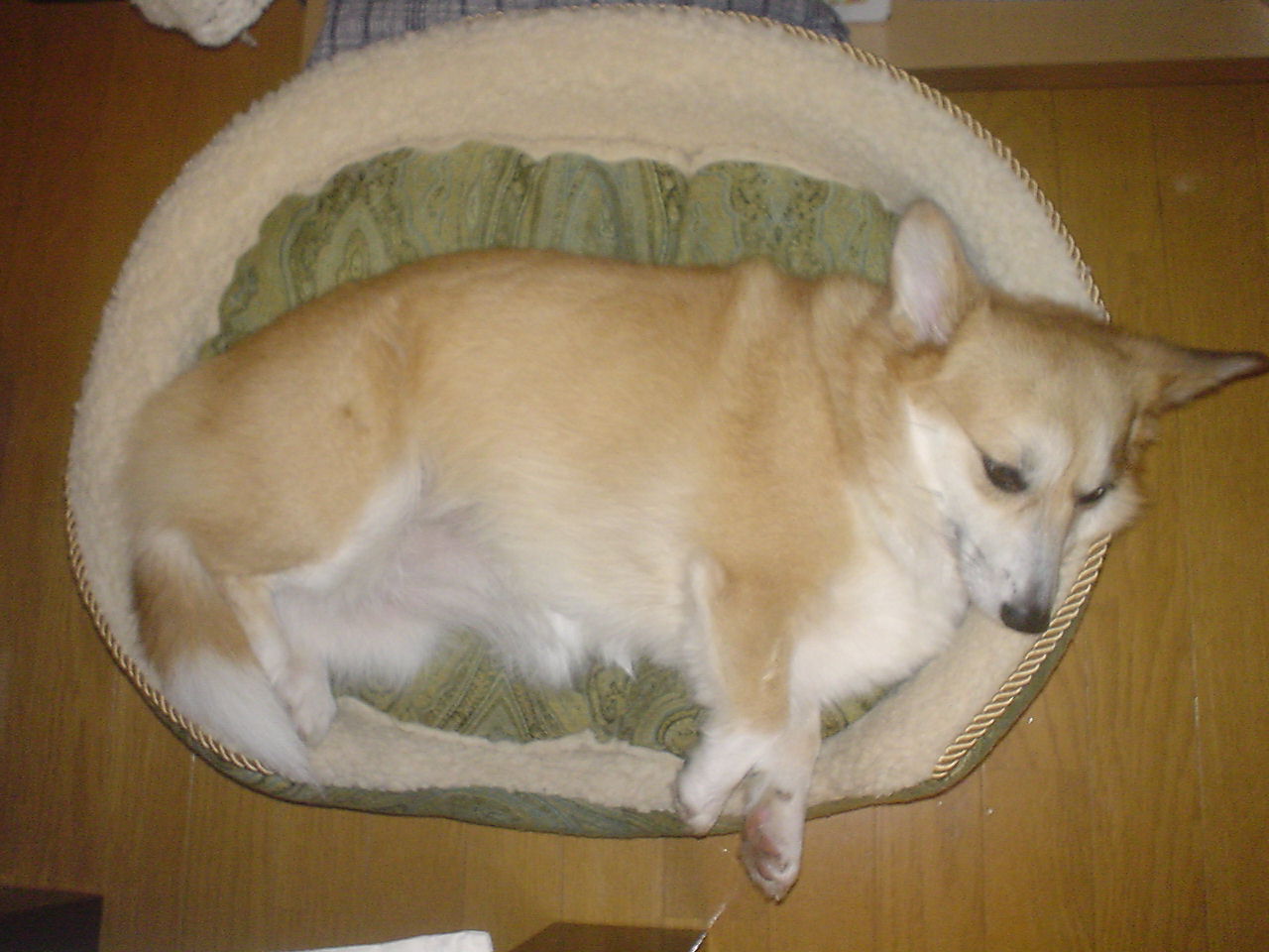 c0150520_2125241.jpg