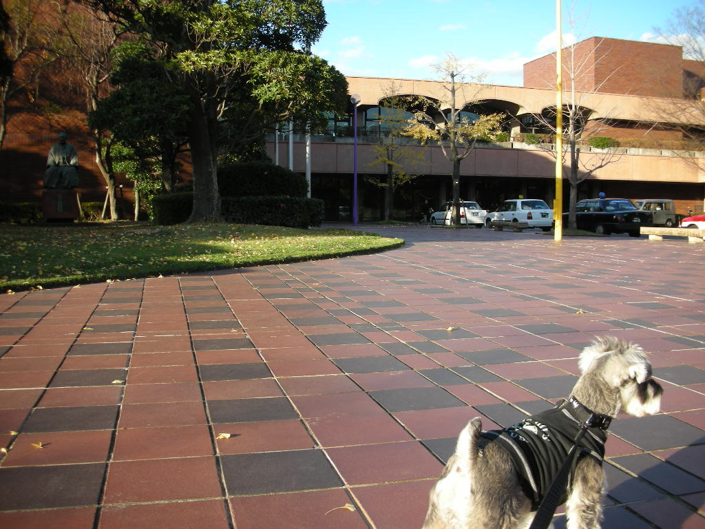 d0149722_2151727.jpg