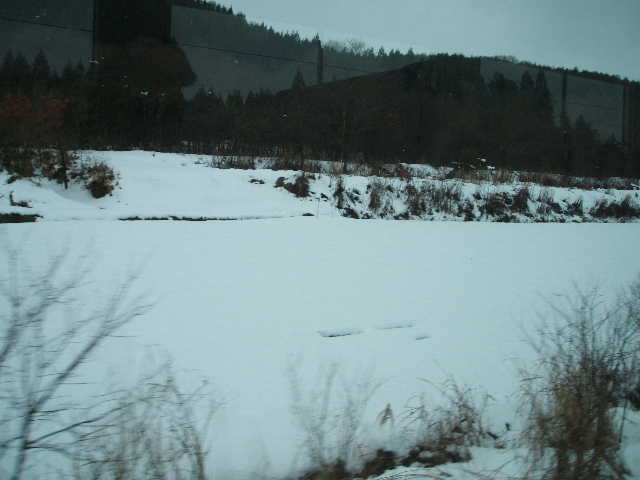 b0052523_12195128.jpg