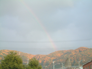 e0009324_1563874.jpg