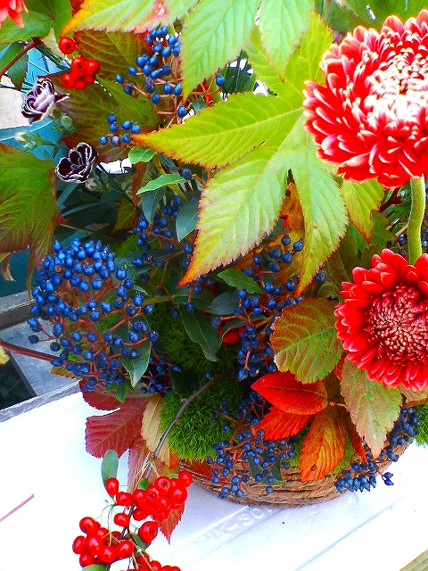 e0080524_14275690.jpg