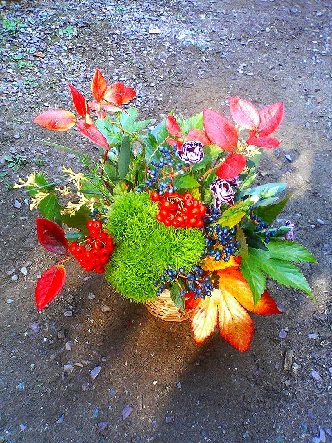 e0080524_14354519.jpg