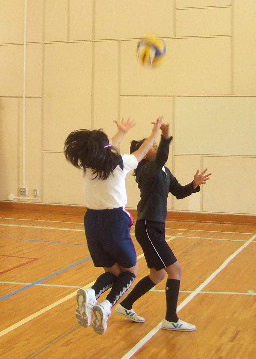 d0138226_1835379.jpg