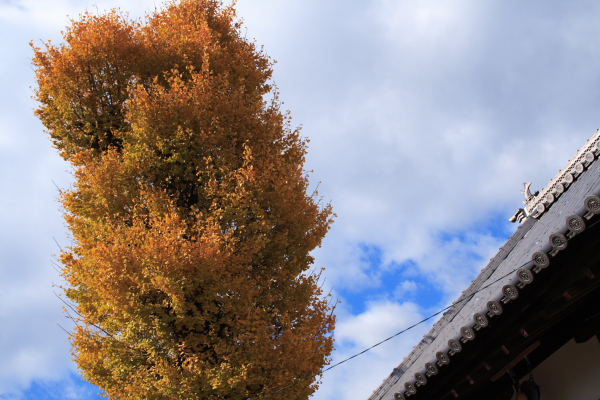 f0140130_13195774.jpg