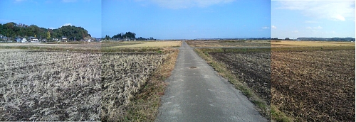 f0060535_233416.jpg