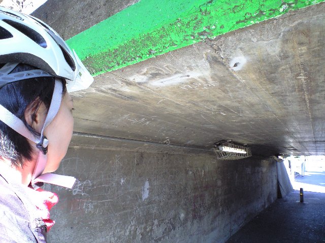 f0109635_12383679.jpg