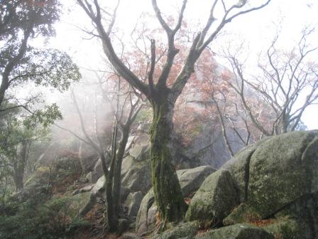 c0077338_6311349.jpg