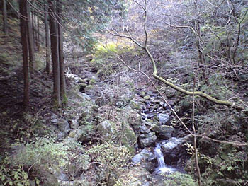 d0107938_23231546.jpg