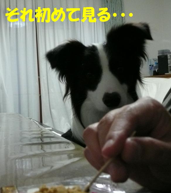 c0147241_12481761.jpg