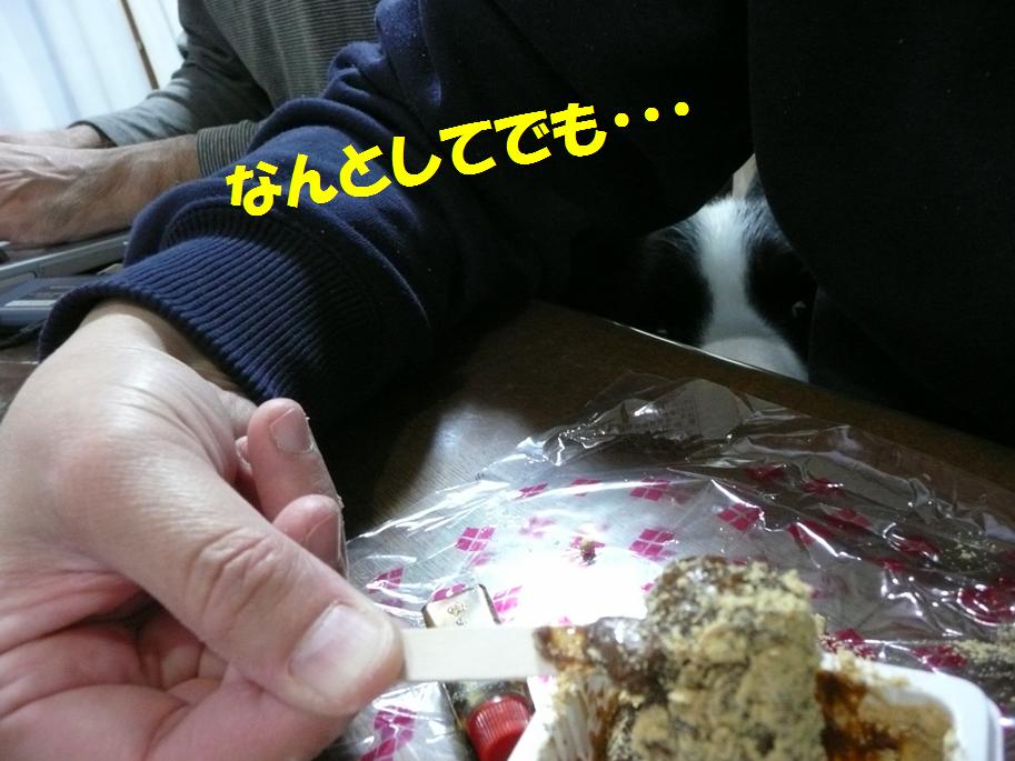 c0147241_12482869.jpg