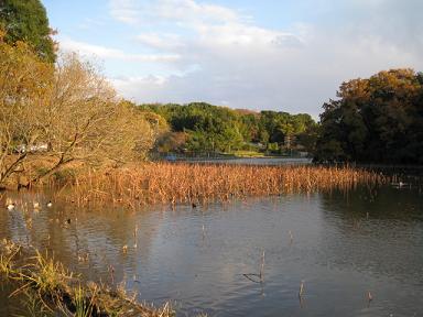 f0005043_2136283.jpg