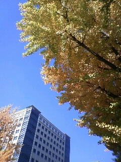 a0006144_13414460.jpg
