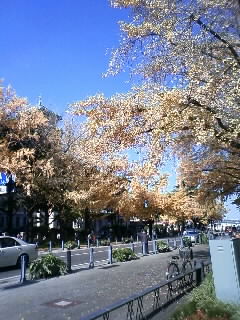 a0006144_19471972.jpg
