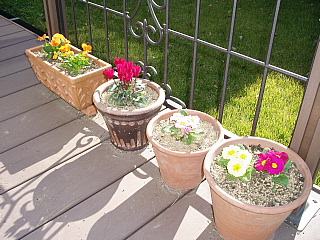 c0123149_15292739.jpg