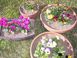 c0123149_15294535.jpg