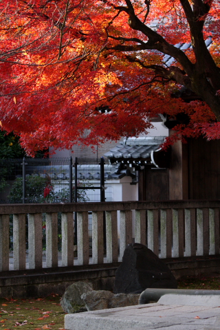 a0024250_23164334.jpg