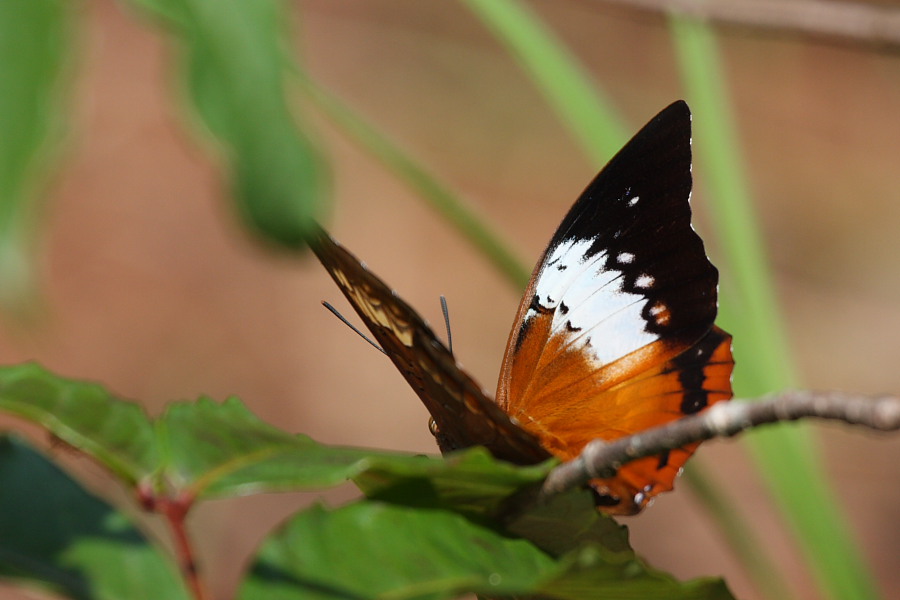 a0094850_17502645.jpg