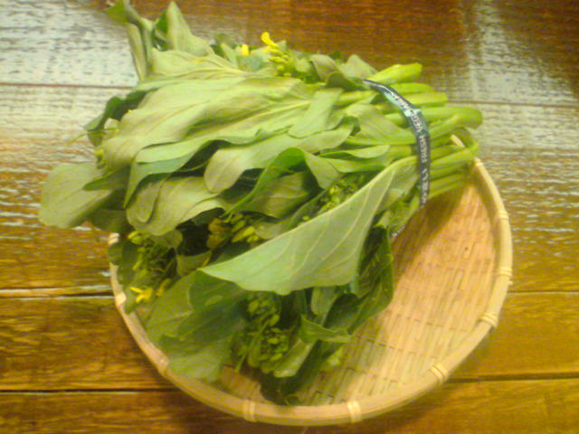 b0156050_23301911.jpg