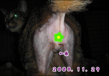 d0139352_10290.jpg