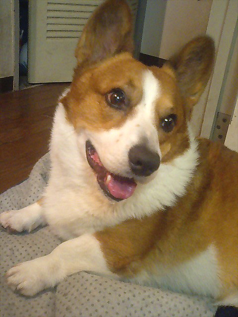 c0050857_13174850.jpg