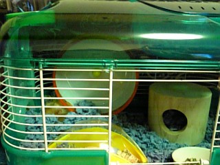 c0170858_8393629.jpg
