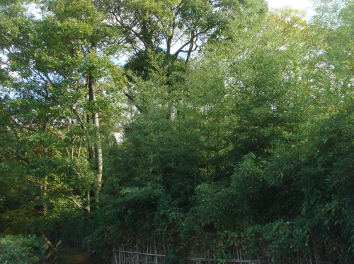 c0108460_16323650.jpg