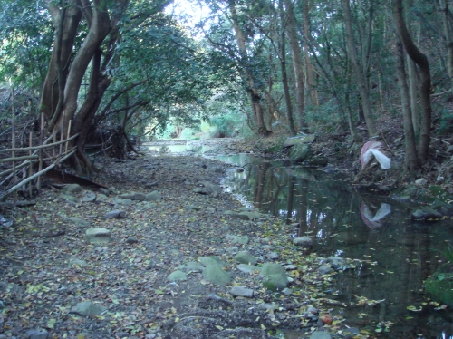 c0108460_16332261.jpg