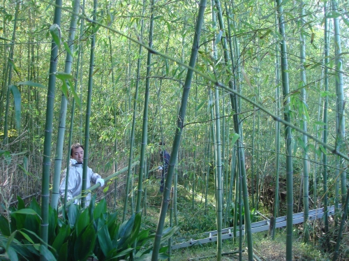 c0108460_16385420.jpg
